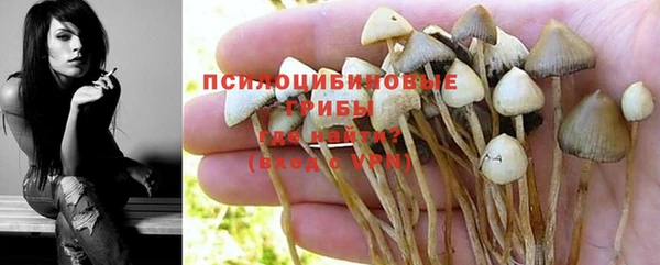 spice Красноперекопск