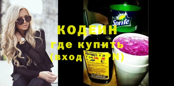дживик Краснослободск