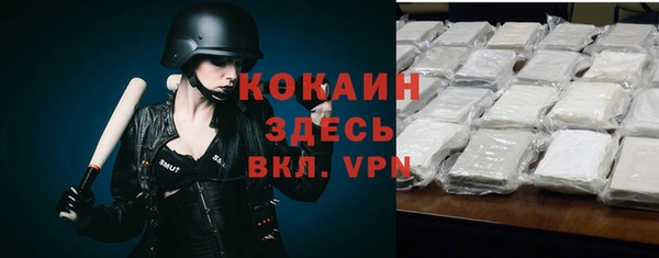 дживик Краснослободск